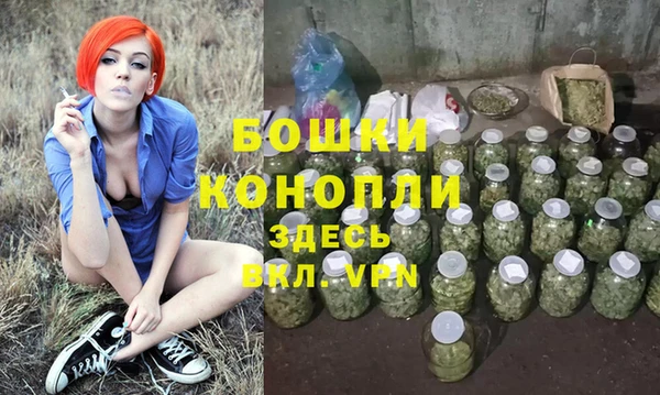 трава Абаза