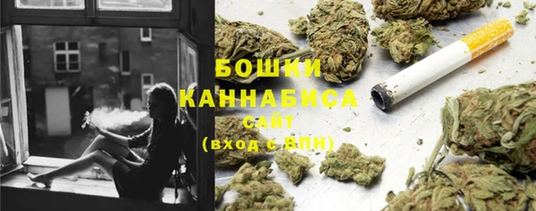 крисы Абдулино