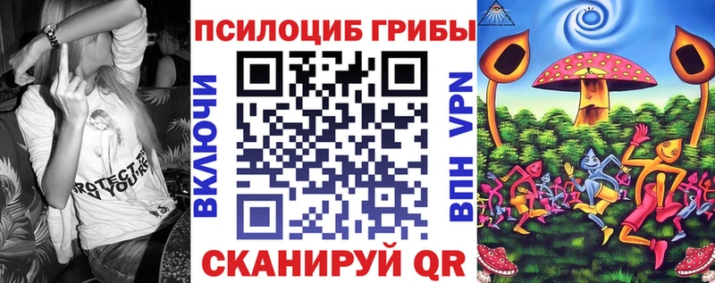 Псилоцибиновые грибы Psilocybe  Сурск 